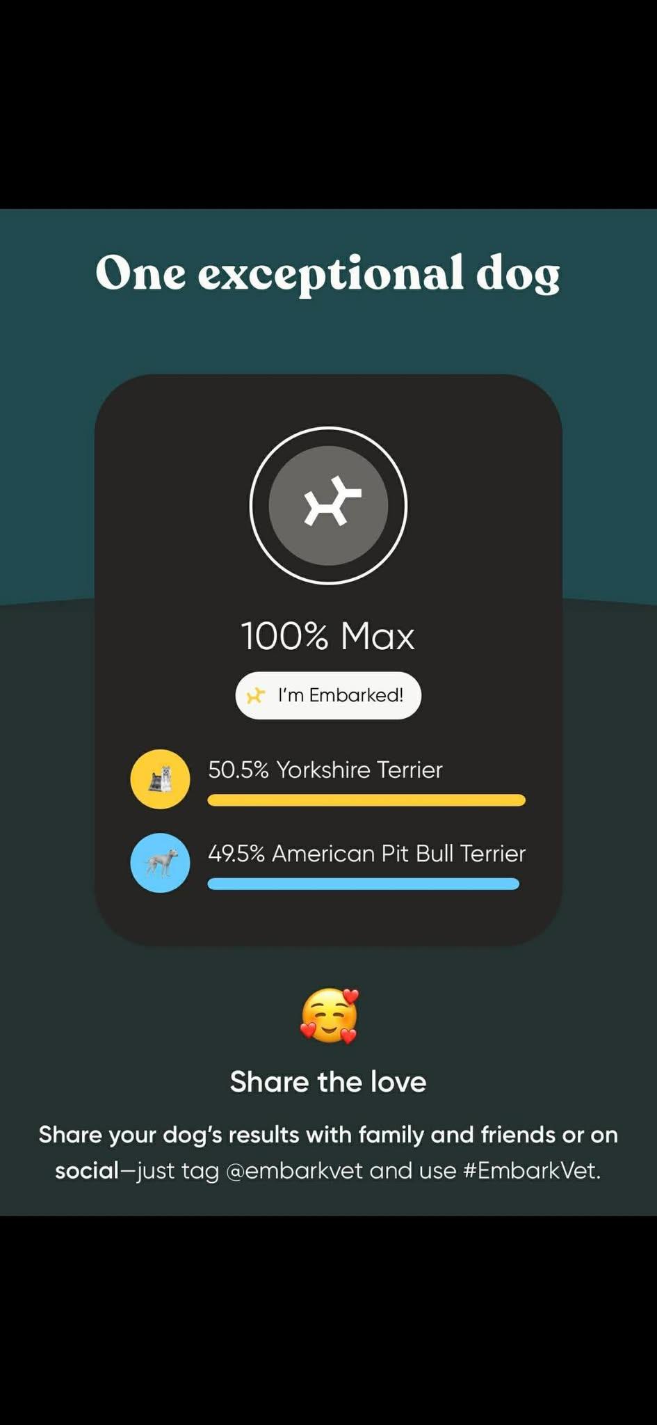 Enlarge Max, a ADOPTABLE mixed breed in Dayton, OH image 2/2