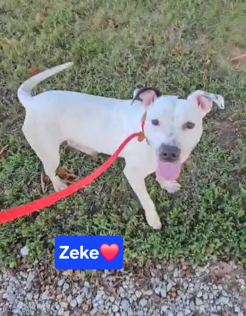 Zeke