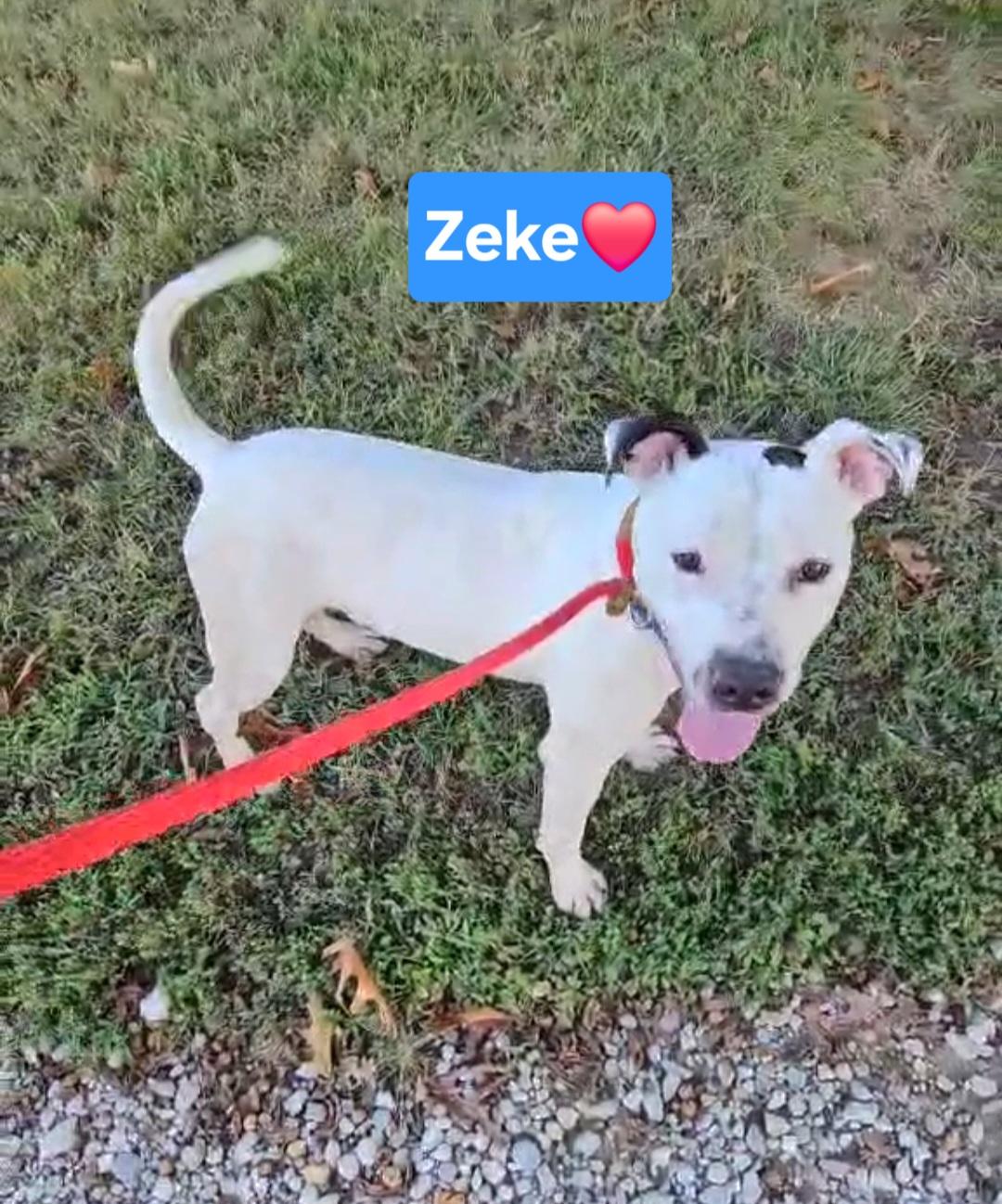 Zeke