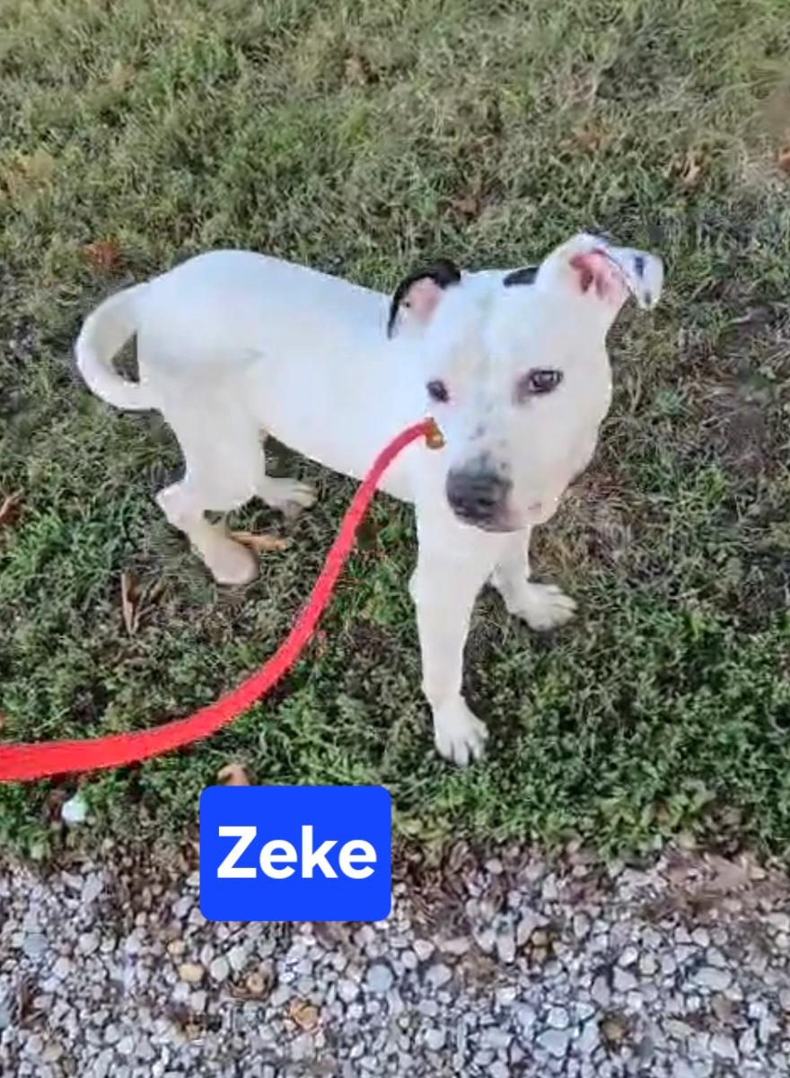 Zeke