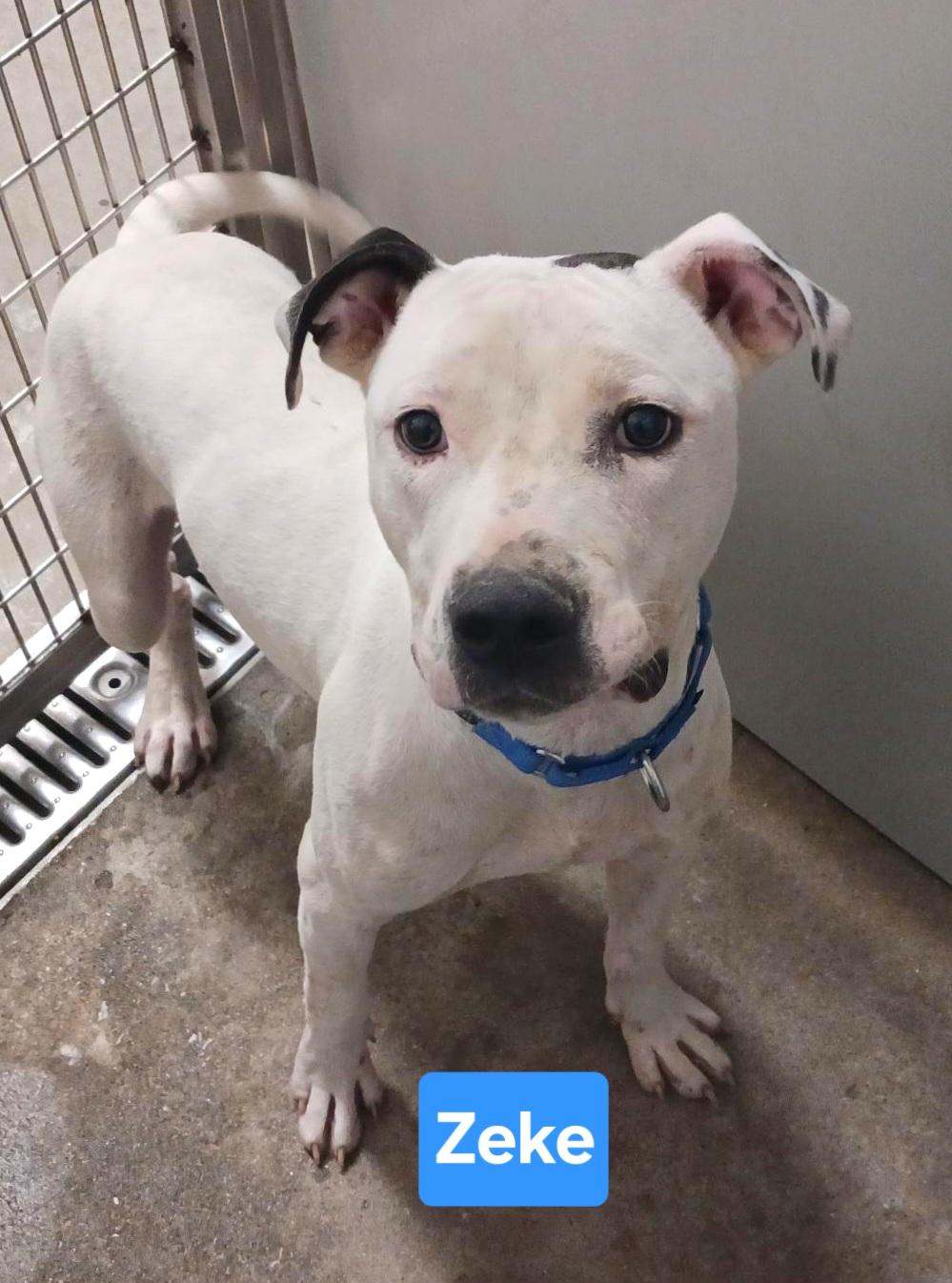 Zeke