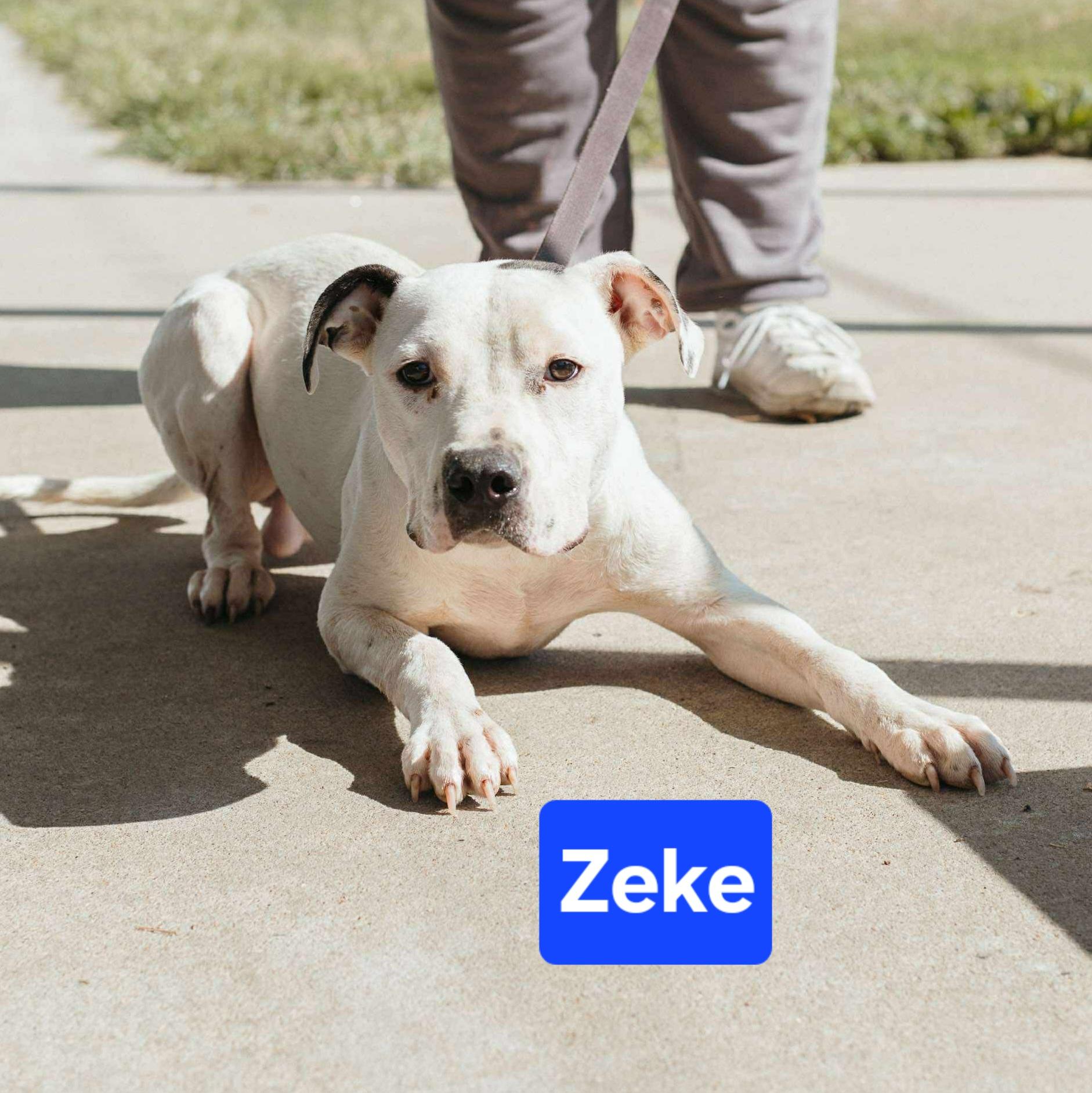 Zeke