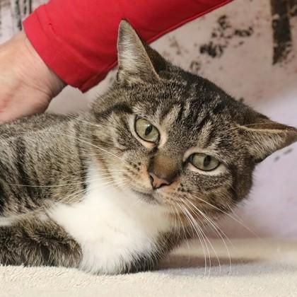 Upstairs — thumbnail 2