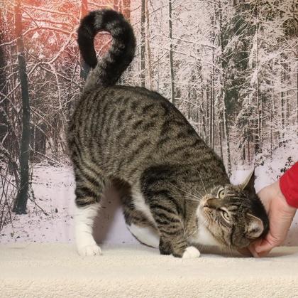 Upstairs — thumbnail 3