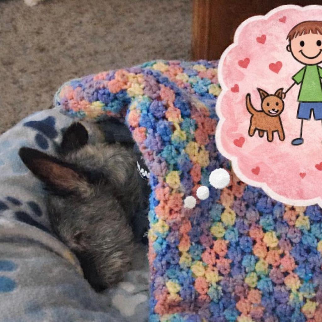 Barry D6834 — thumbnail 4