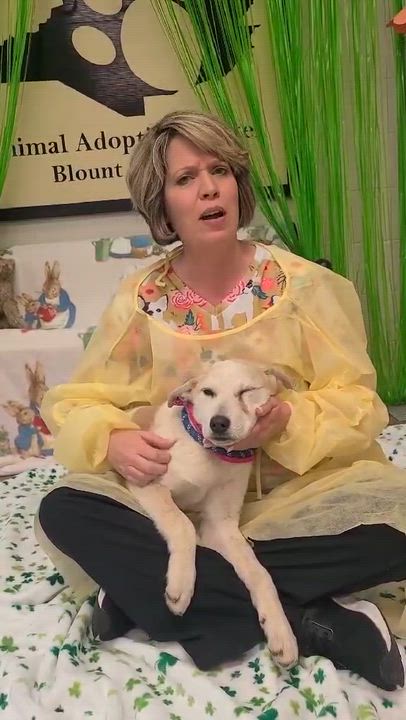 Enlarge Bunnie, a ADOPTABLE mixed breed in Woolwich, ME video 2/2