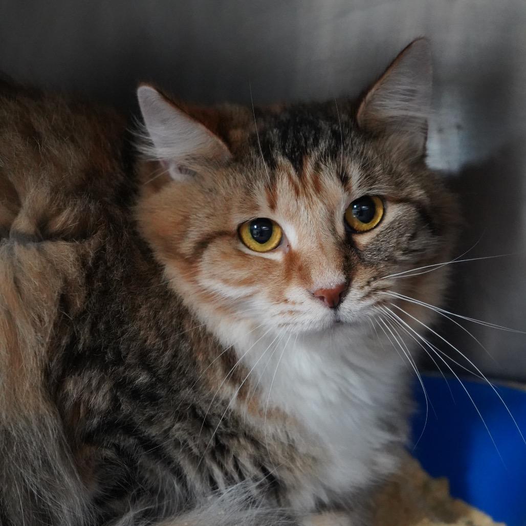 Rayna — thumbnail 2