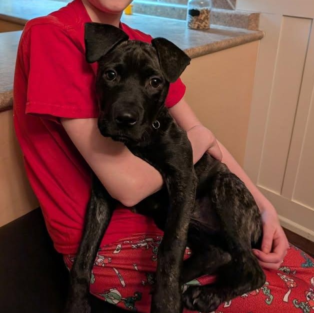 Pebbles (20260216-09) — thumbnail 2