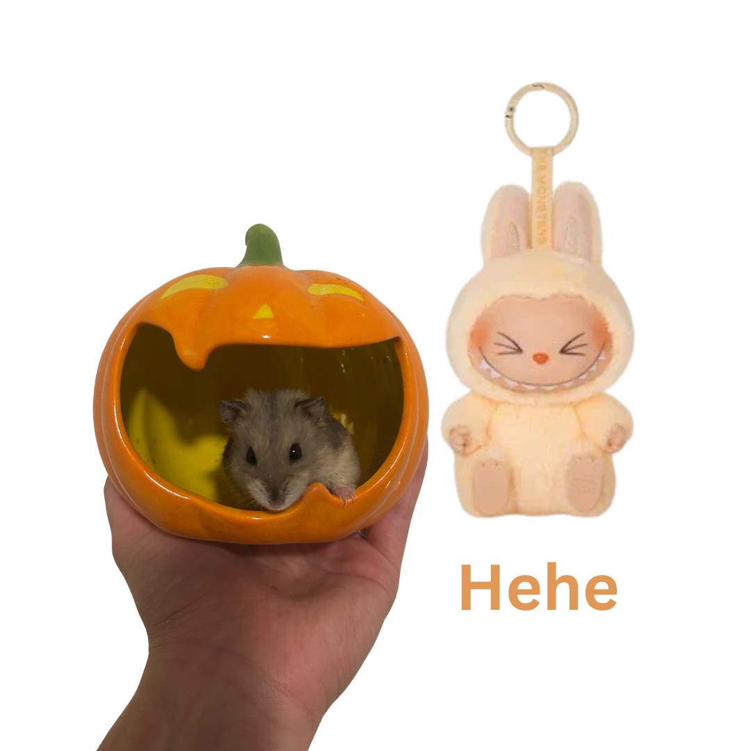 Enlarge Hehe, a Adoptable mixed breed in Ripon, CA image 1/1