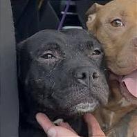 Selly — thumbnail 2