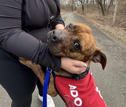 Teema — thumbnail 2