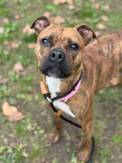 Teema — thumbnail 3