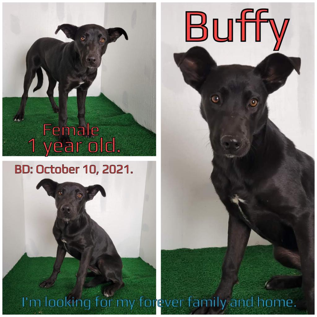 Buffy — thumbnail 2