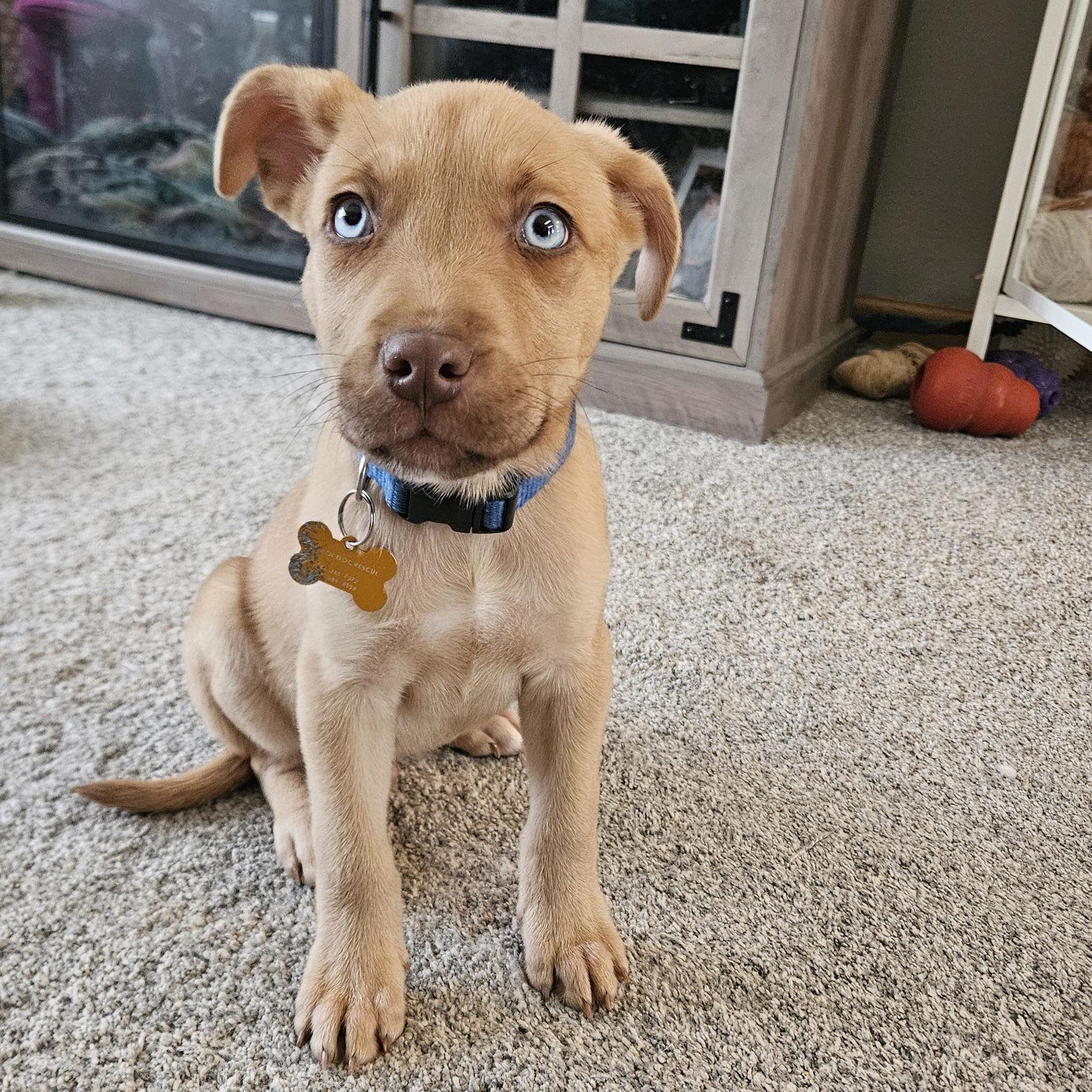 Crew — thumbnail 3