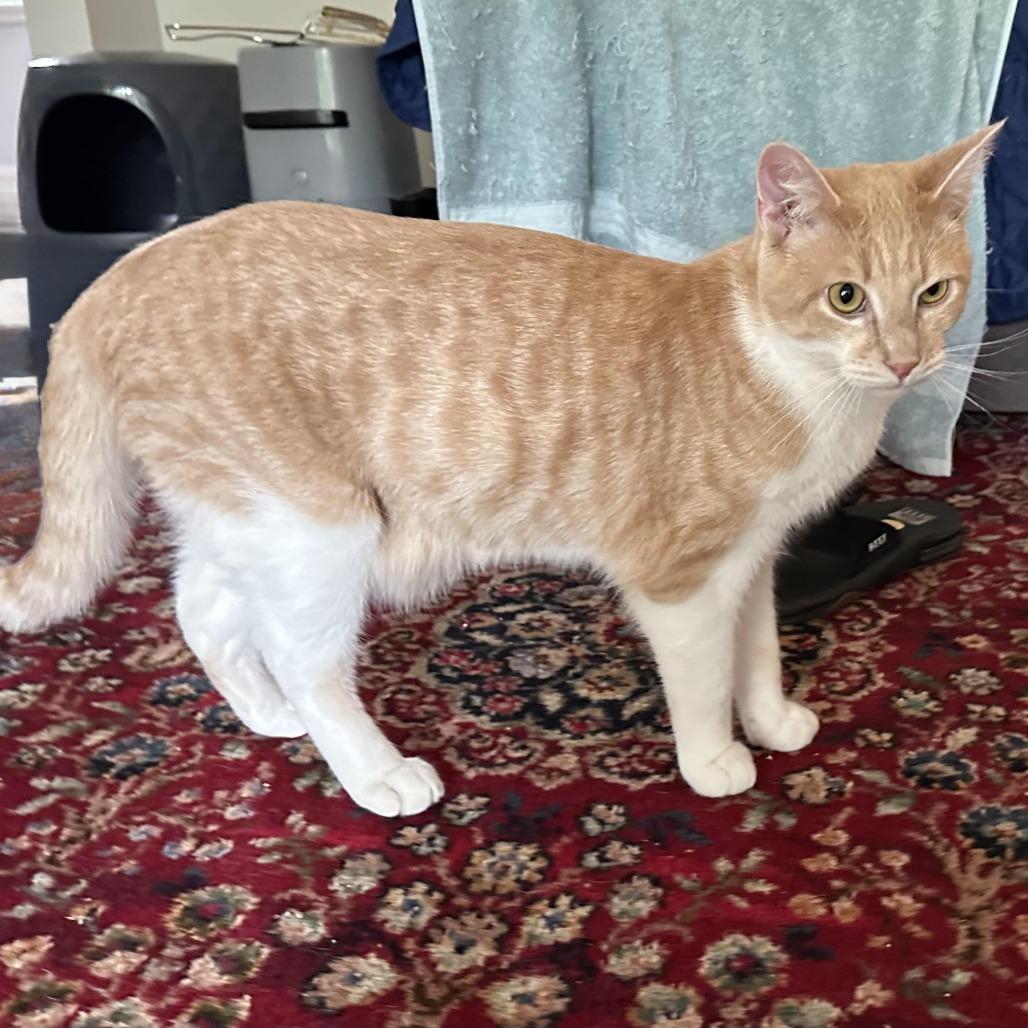 Rusty — thumbnail 2