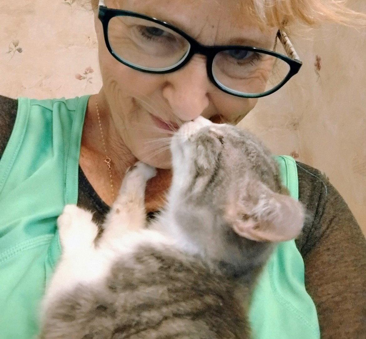 Enlarge Bunny, a Adoptable mixed breed in Winter Garden, FL image 1/3