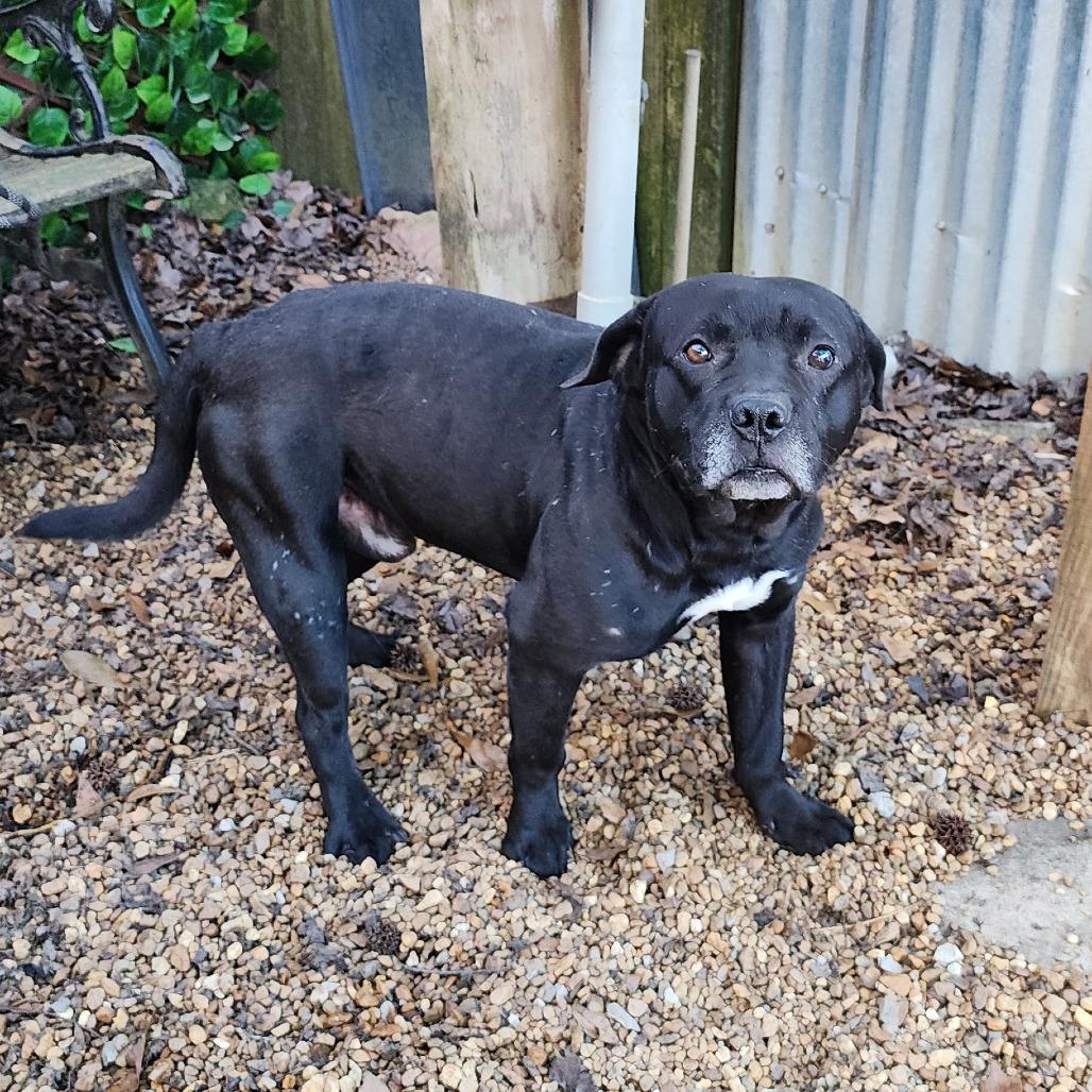 Clay — thumbnail 3