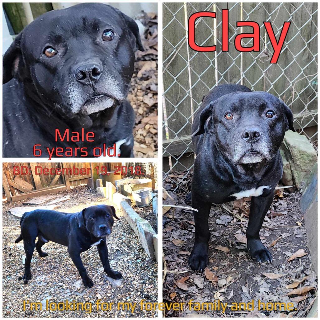 Clay — thumbnail 4