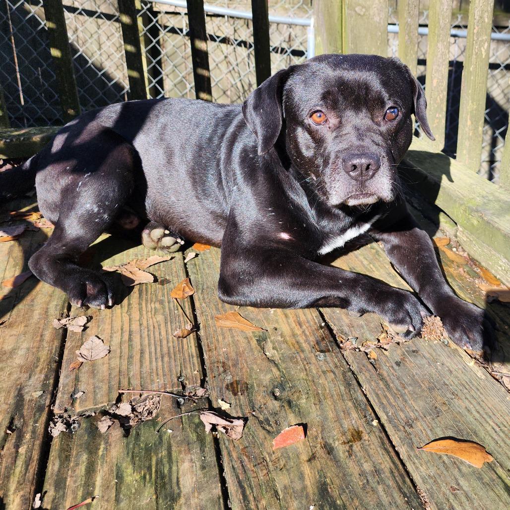 Clay — thumbnail 5