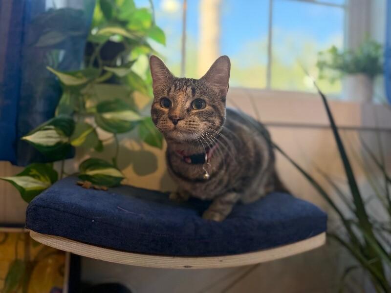 Manhattan New York — thumbnail 5