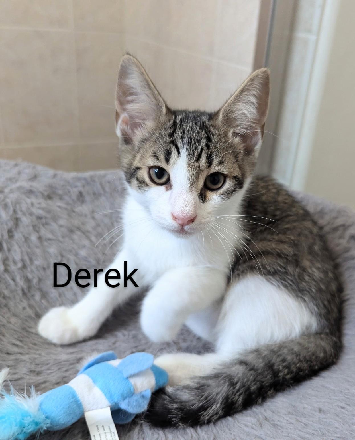 Derek