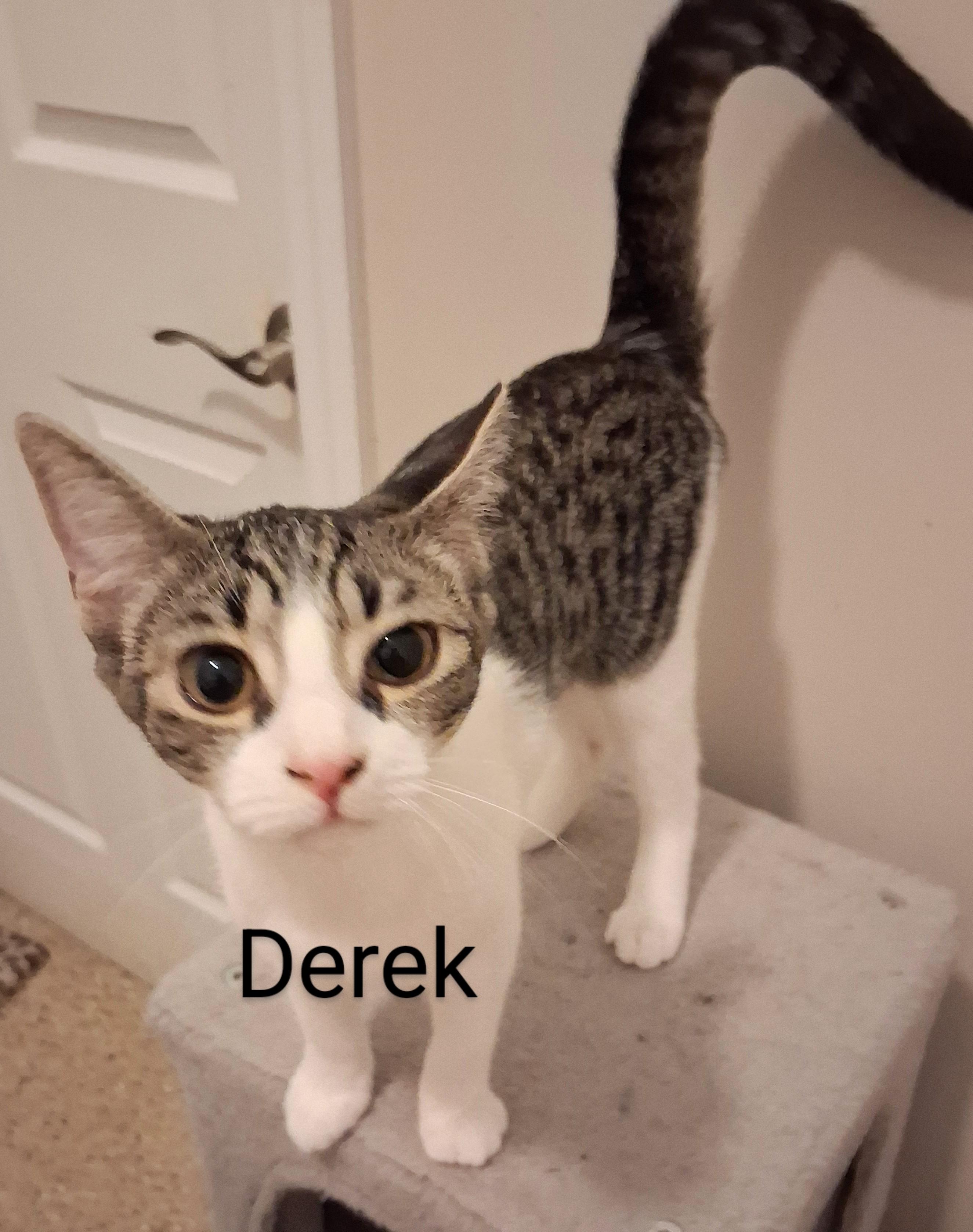 Derek
