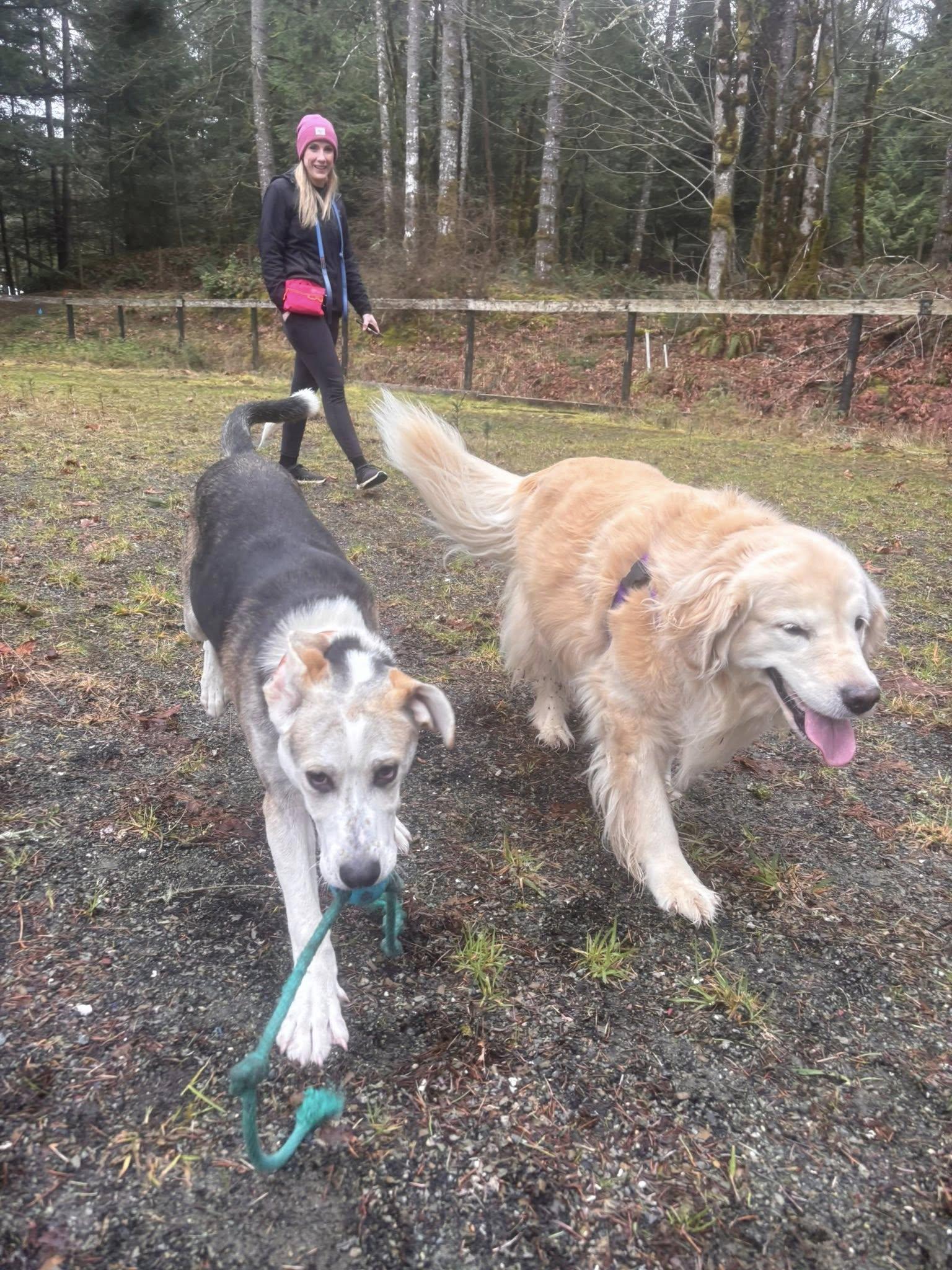 Enlarge ADOPTION PENDING Beni Bunny, an adopted Mixed Breed in Lake Cowichan, BC image 5/6