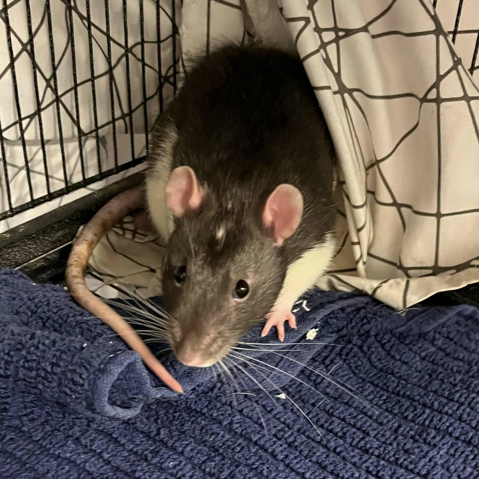 Baby photo 3