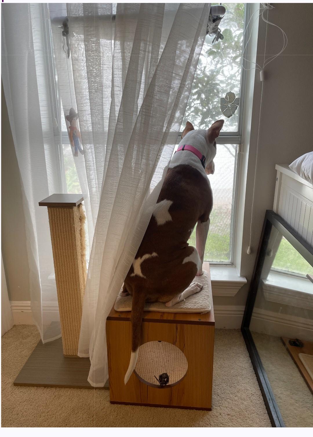 Rosie