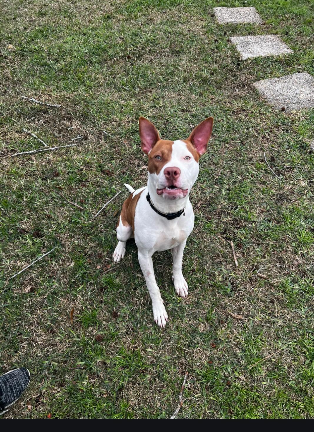 Rosie