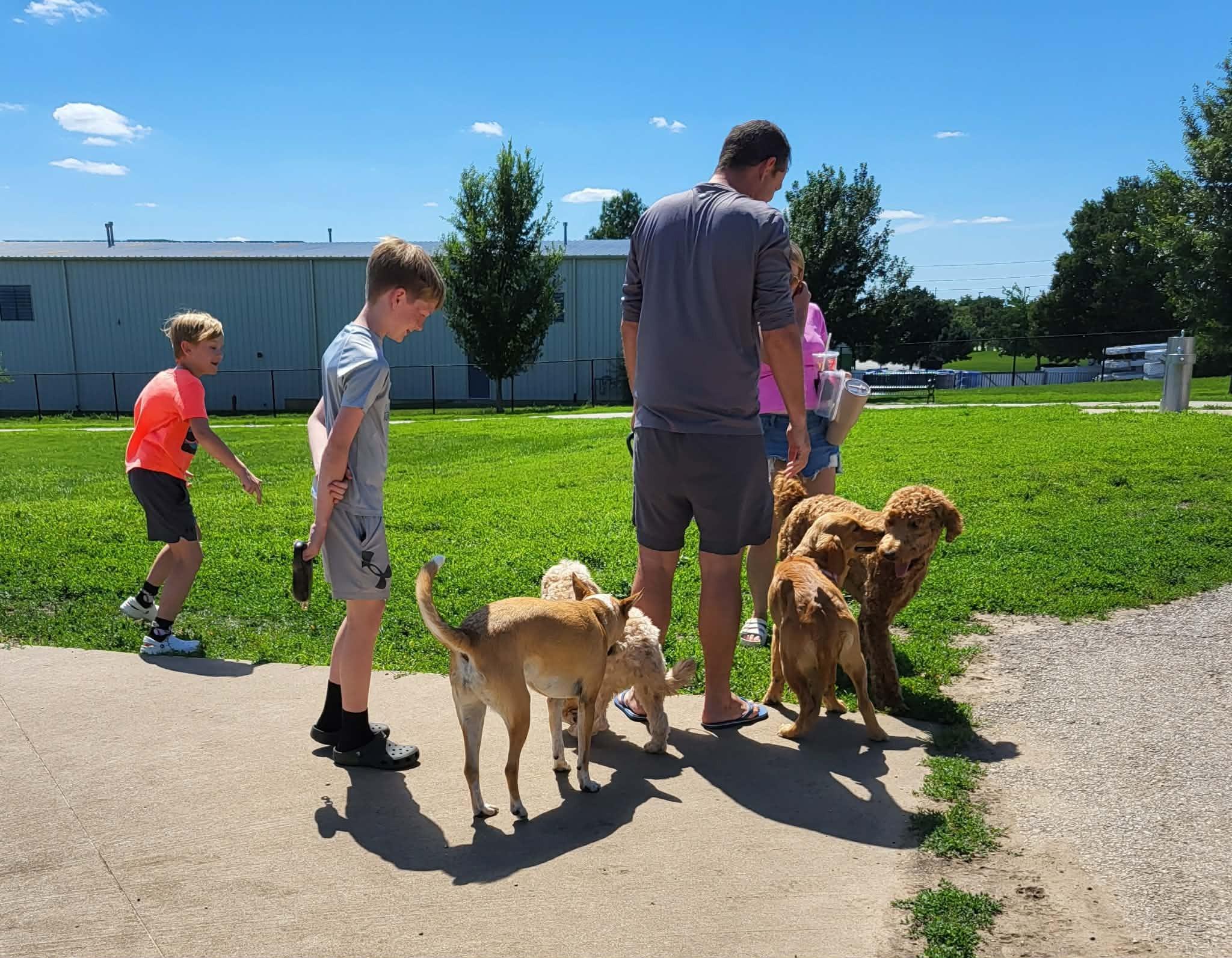 Enlarge Ellie, a Adoptable mixed breed in Michigan City, IN image 2/5
