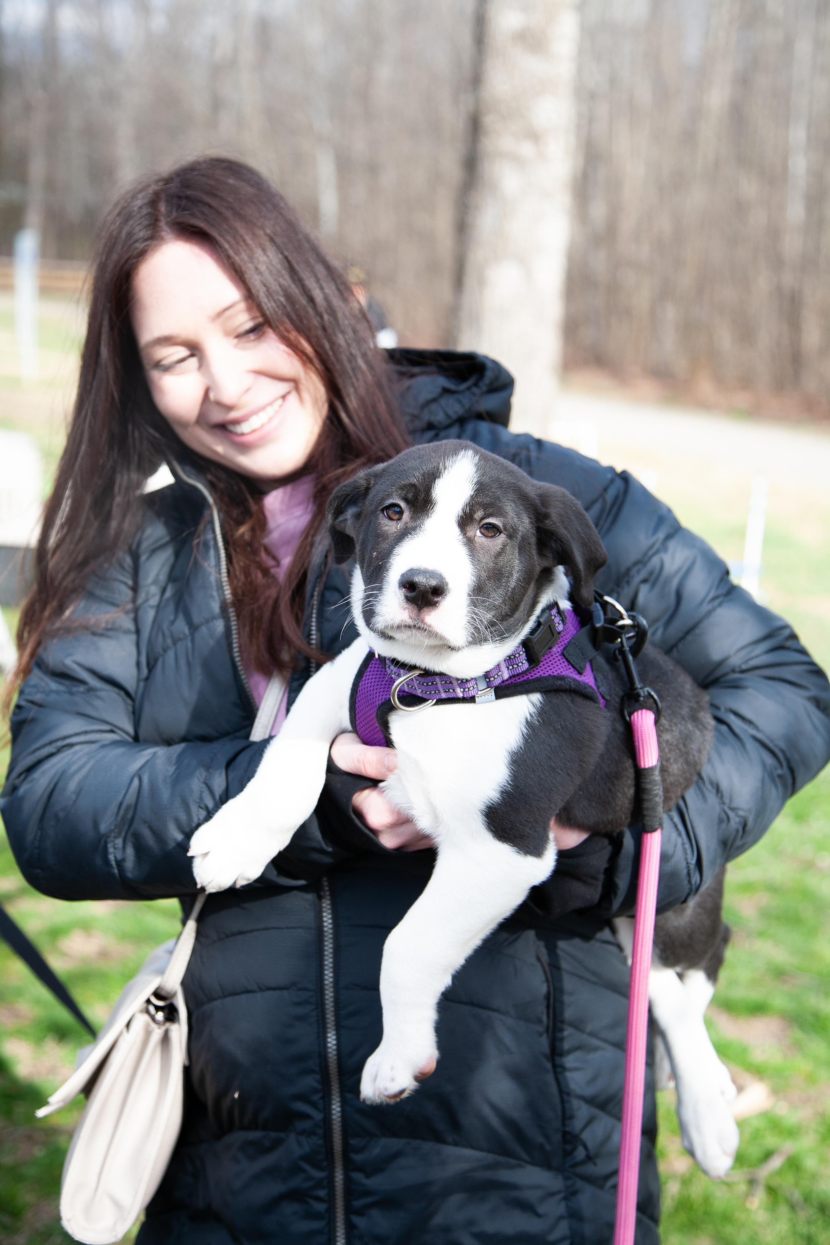 Enlarge Faith, a Adoptable Mixed Breed in Franklin, TN image 2/6