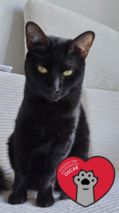 Bonnie — thumbnail 2