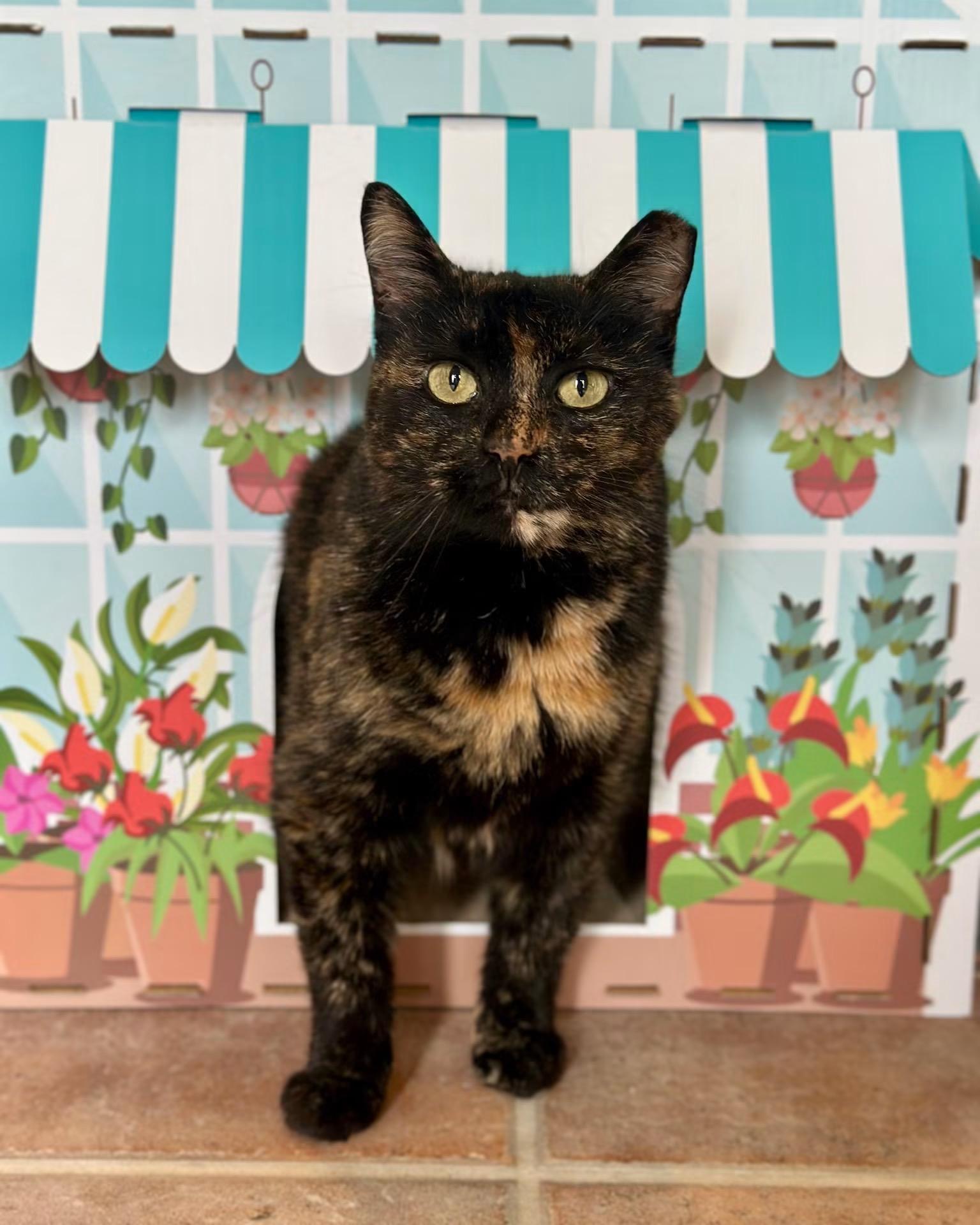 Clawdia photo