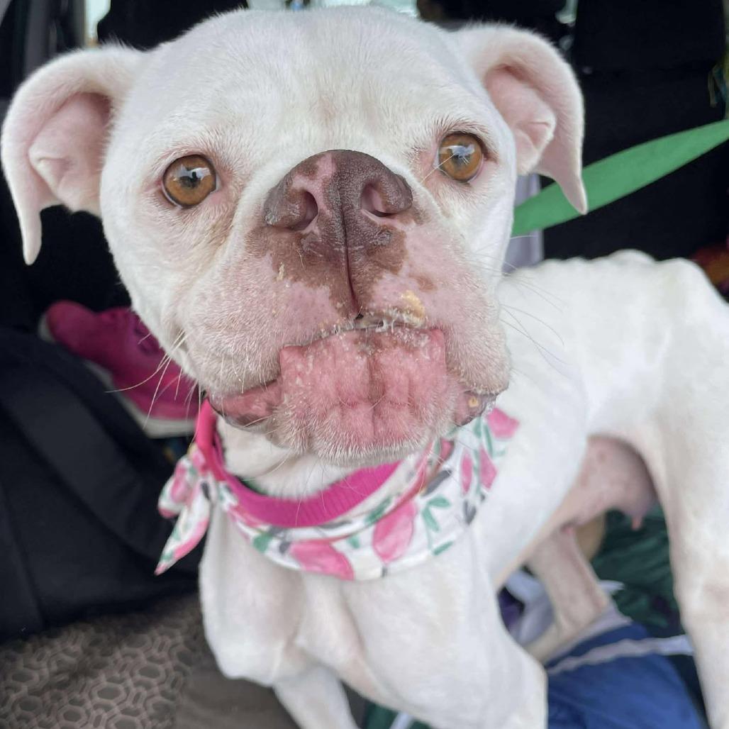 Tinkerbell — thumbnail 2