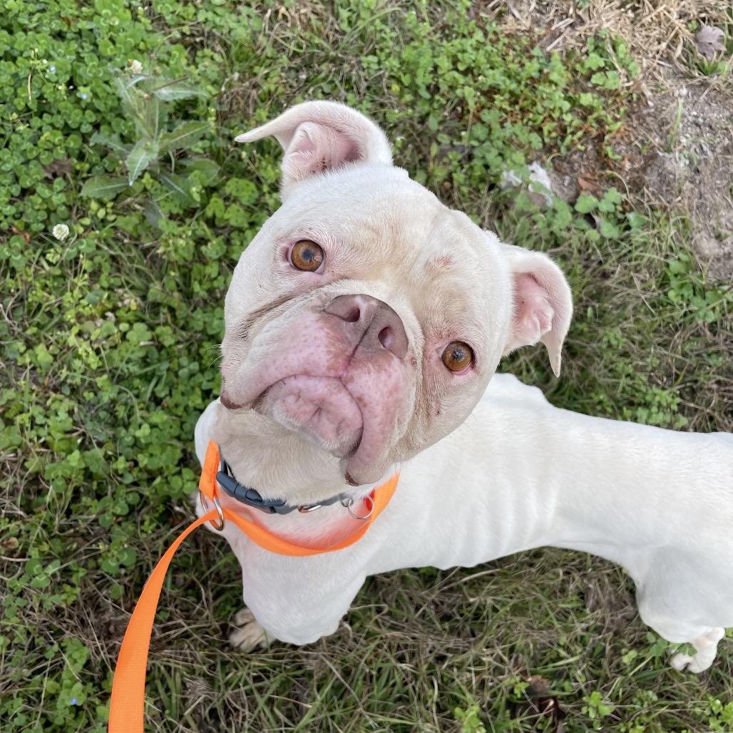 Tinkerbell — thumbnail 4