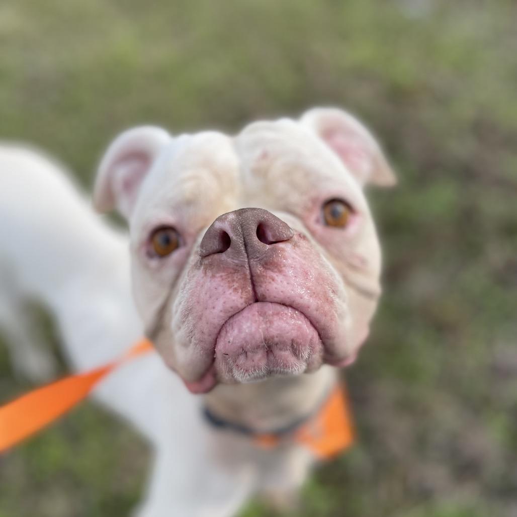 Tinkerbell — thumbnail 6