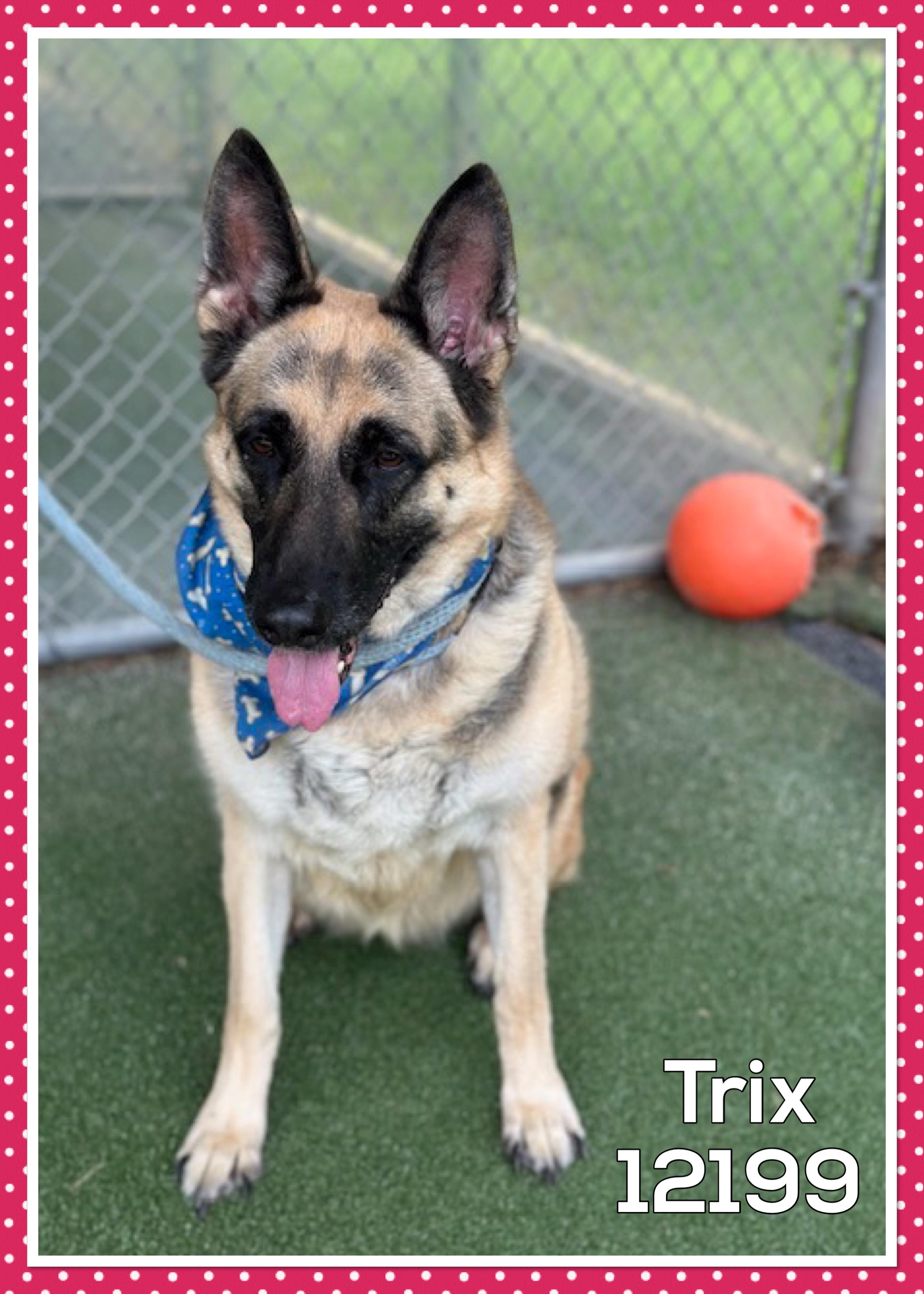 TRIX