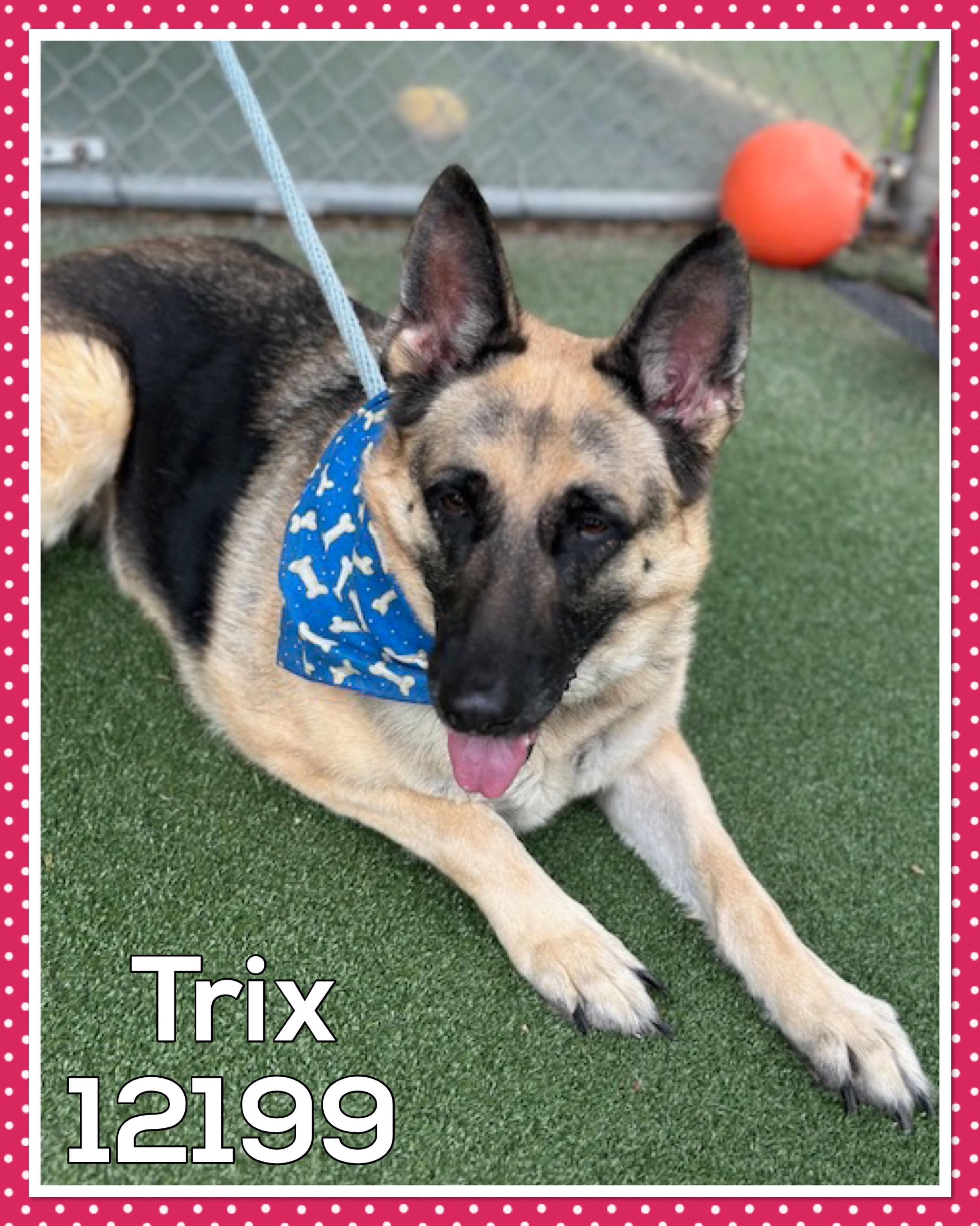 TRIX