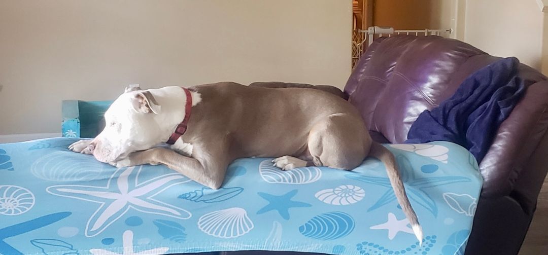 Sophie photo 6