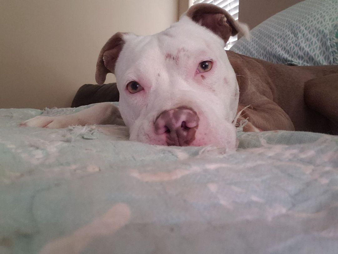 Sophie photo 2
