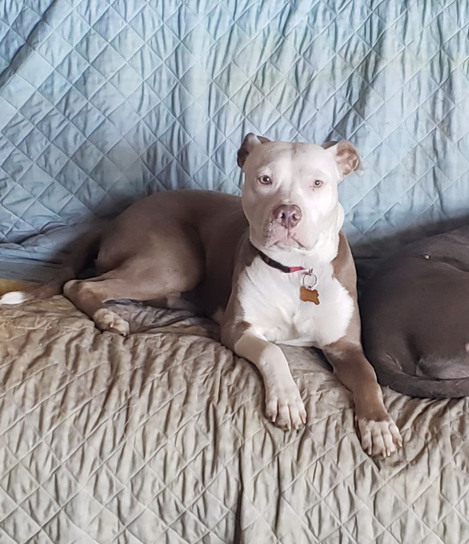 Sophie photo 4