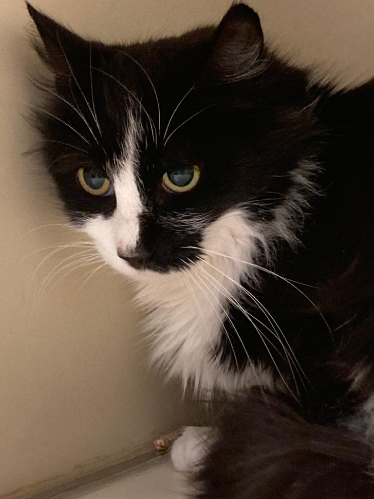 2025-174 Peppermint Patty++