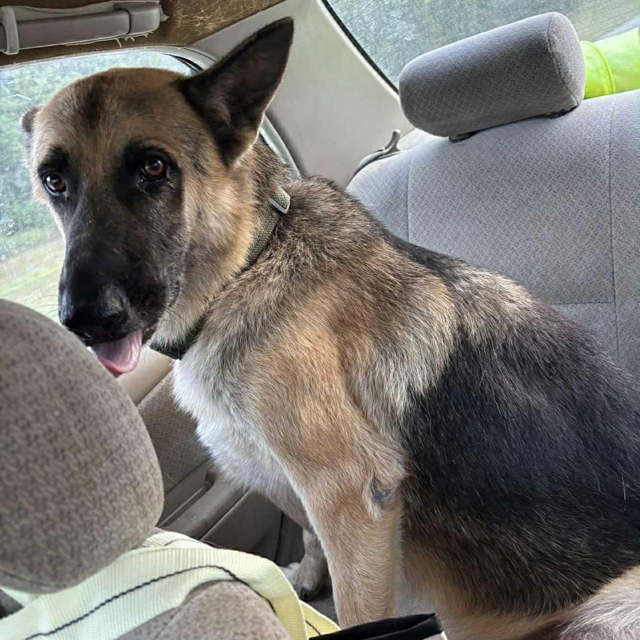 Duke