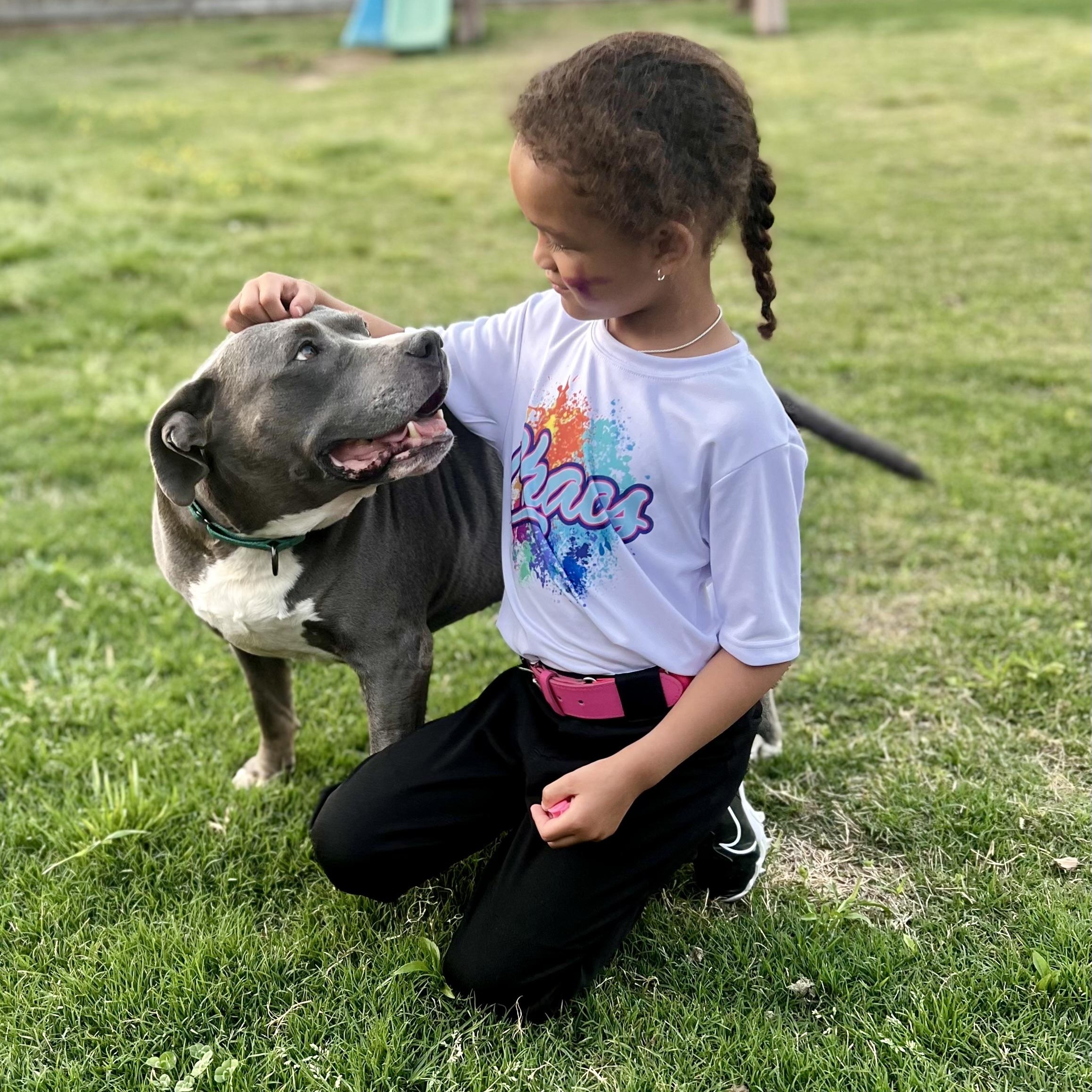 Enlarge Envy, a Adopted mixed breed in Germantown , TN image 5/6