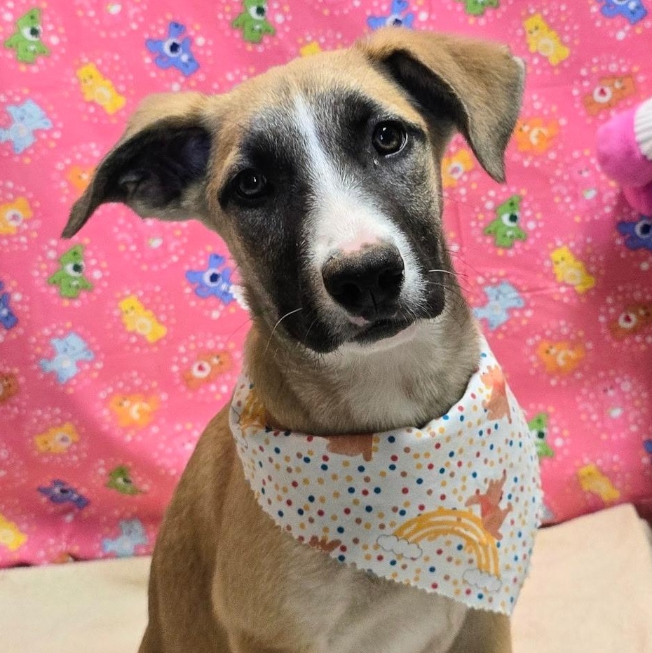 Kendall — thumbnail 2