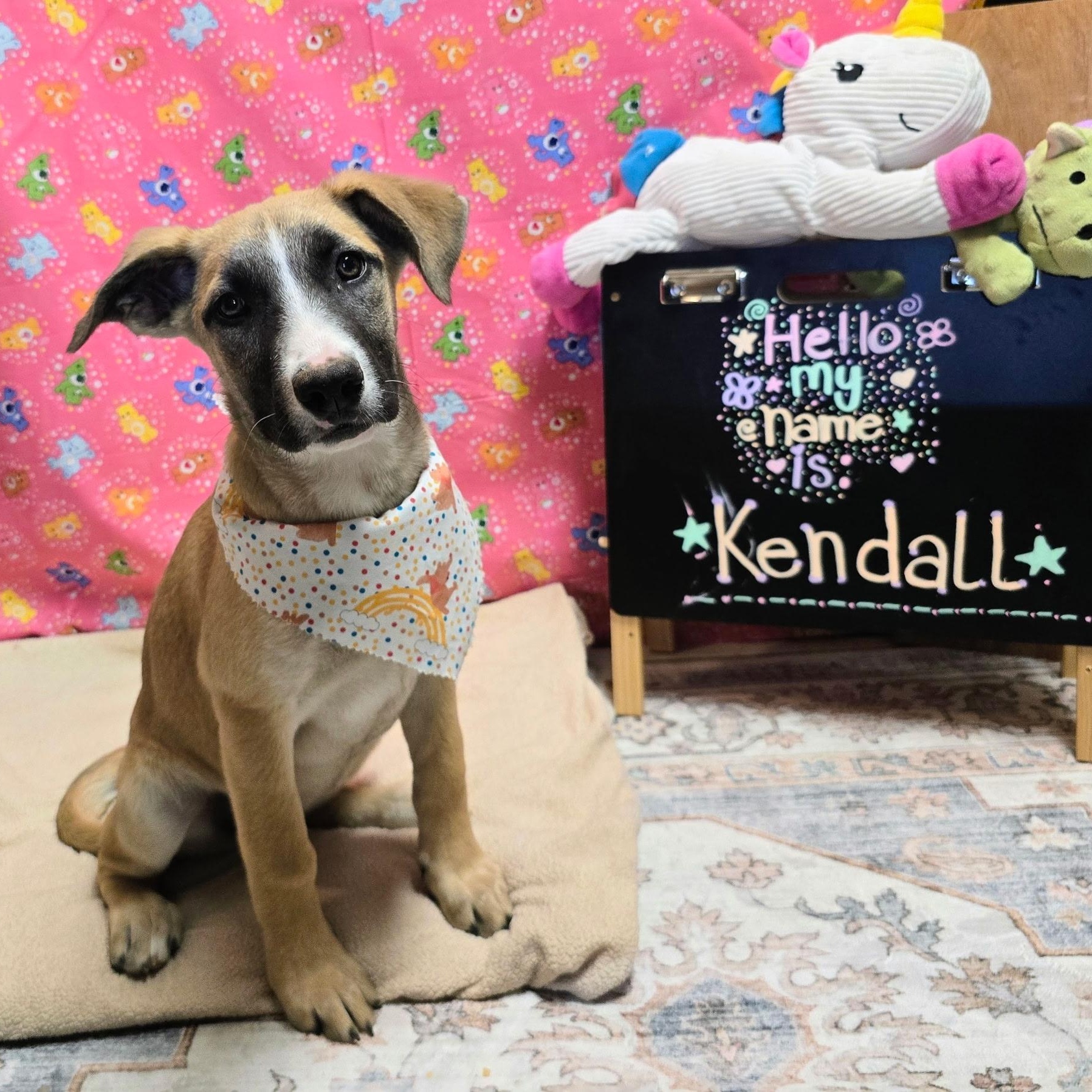 Kendall — thumbnail 3