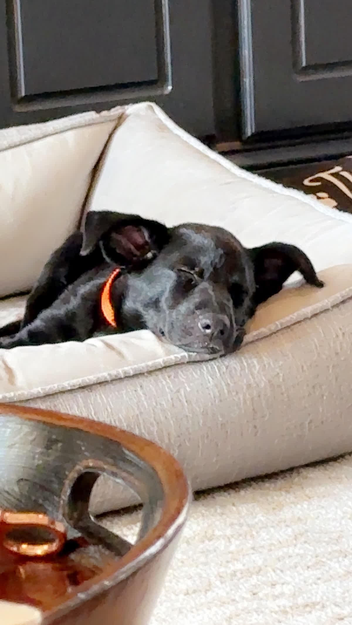 Quincy