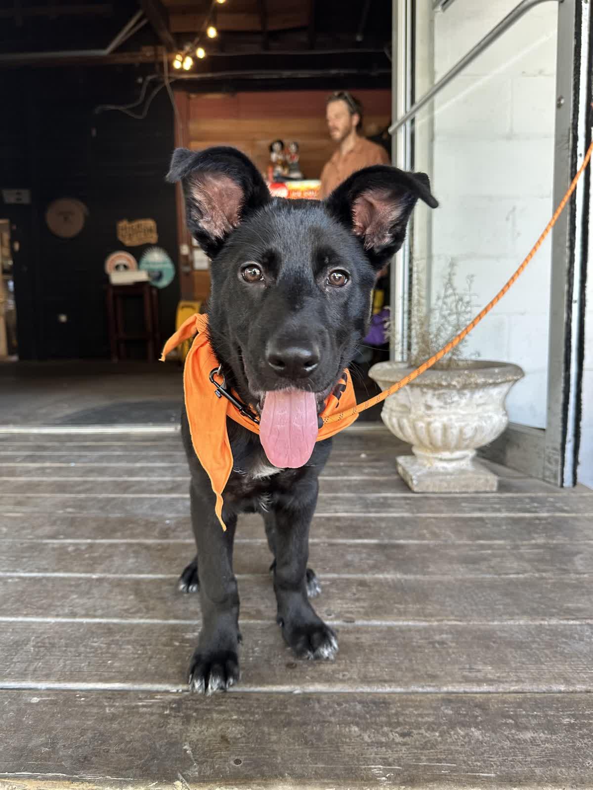 Quincy