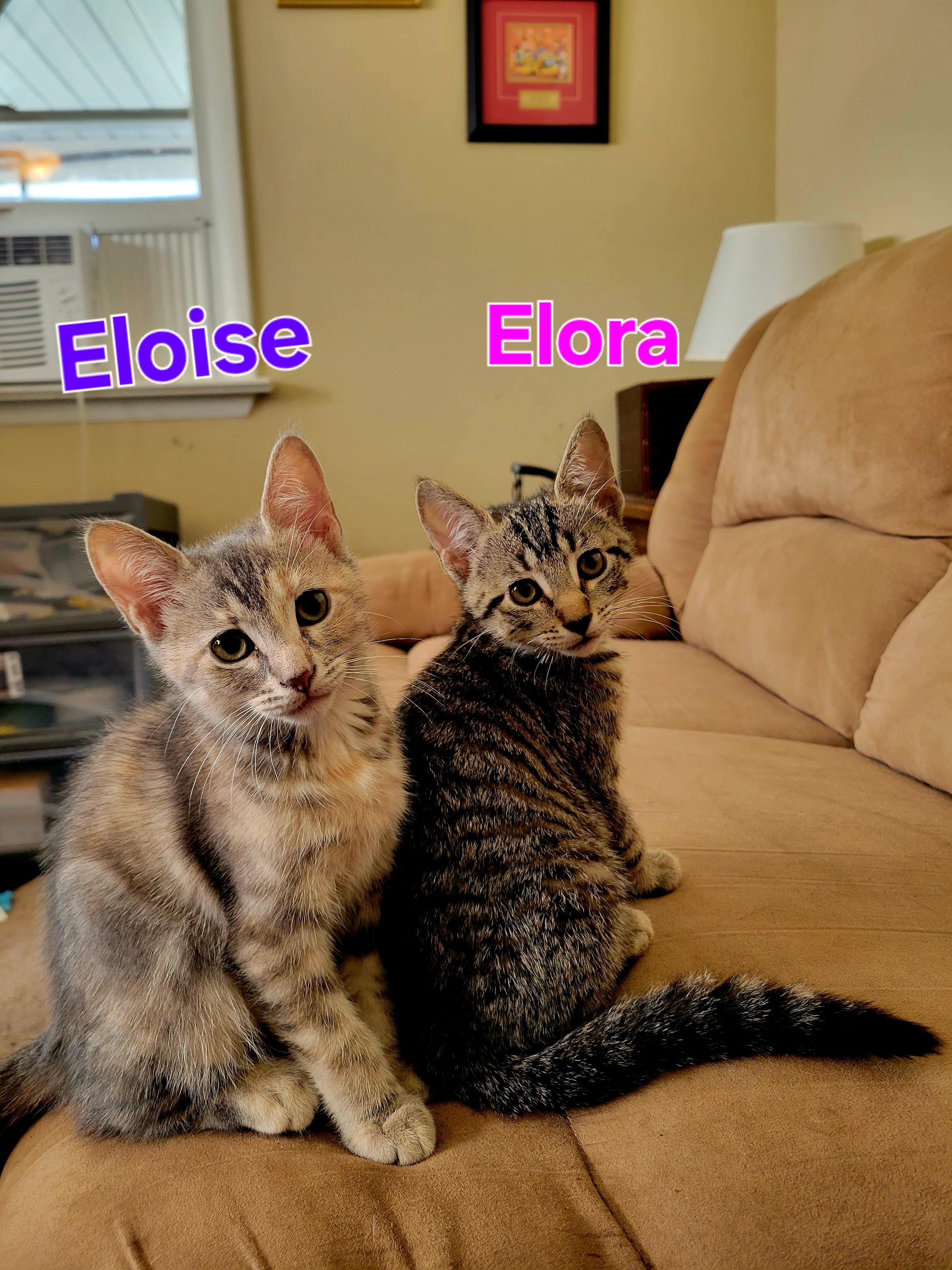 Elora